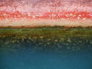 biofouling - DockPro