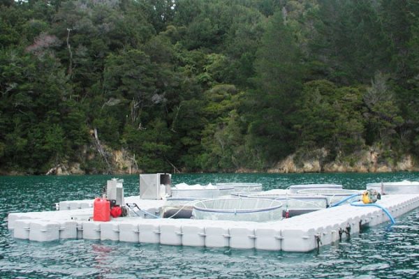 FloatBricks-for-commercial