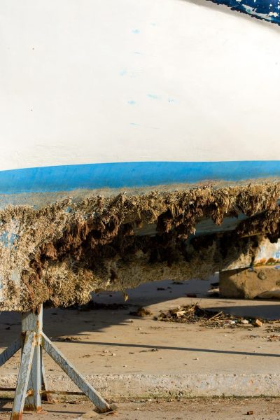 Boat,Covered,By,The,Coral,And,Moss.
