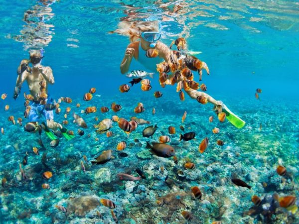 Happy,Family,Vacation.,Young,Couple,In,Snorkeling,Mask,Hold,Hand,